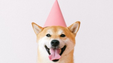 Concorrente do Dogecoin, Shiba Inu valoriza 146% após anúncio de listagem da Binance