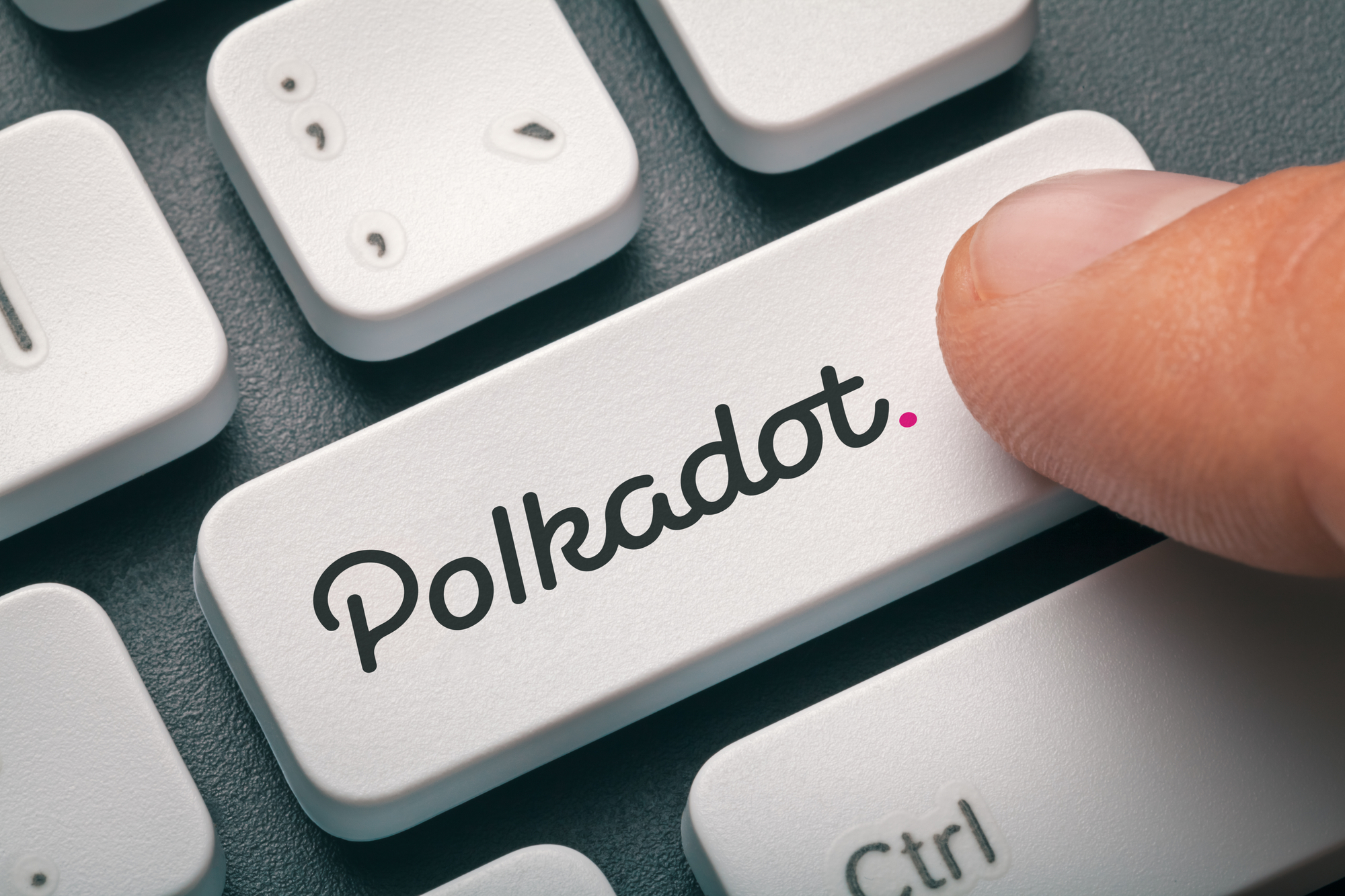 polkadot dot